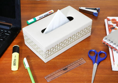 Leather Tissue Boxes